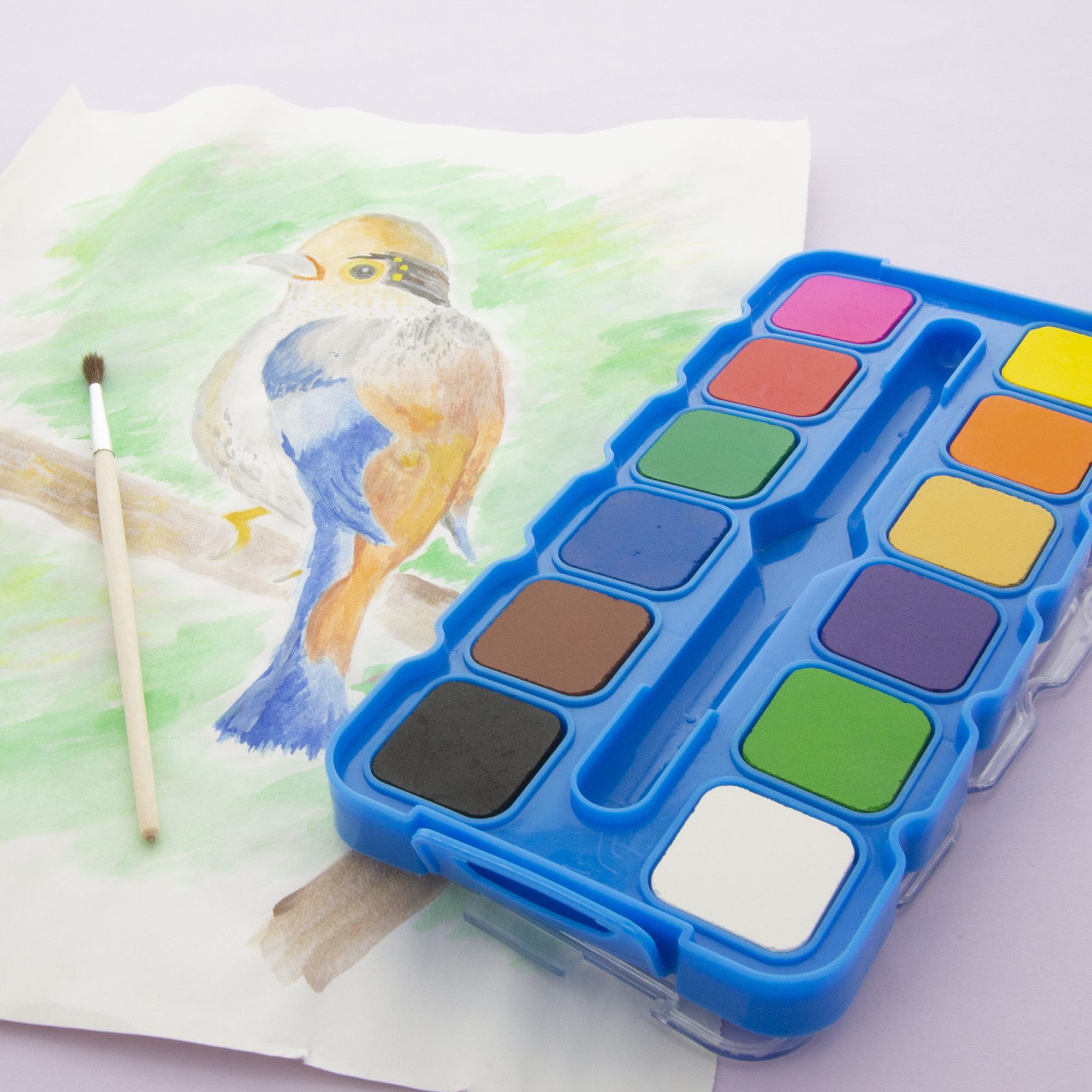 Watercolor Palette with Lid Large Capacity Paint Pallet for Acrylic  Painting